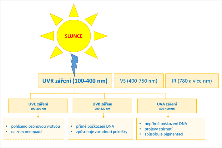 Jaké ultrafialové záření dopadá na Zem a co to pro nás znamená? Zkratky: UVR = ultrafialové záření, VS = viditelné světlo, IR = infračervené tepelné záření.