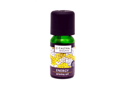 2025 energy oil