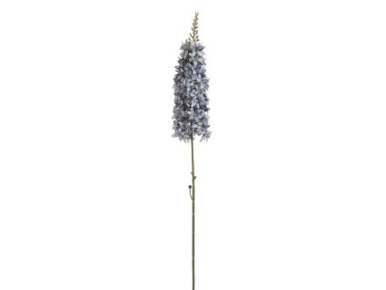 Veronika Spicata modrá 95 cm
