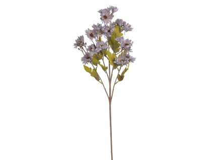 Margaréta fialová 80 cm