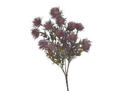 Bodliak fialový 37 cm