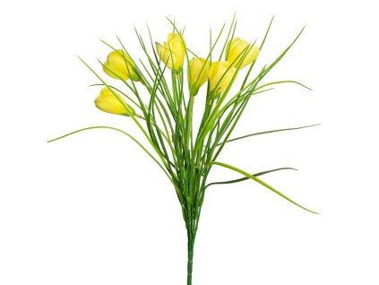 KYTICA CROCUS 3F 39cm 9200431 18KS