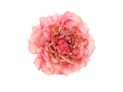 HLAVA PIVÓNIA 4CM BAL.12KS TM.RUŽOVÁ