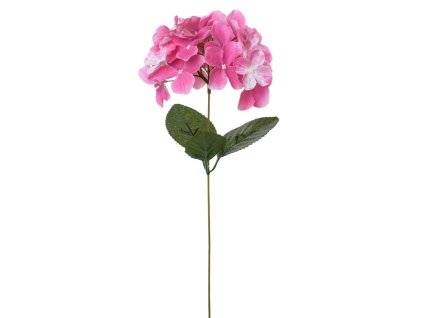 KS HORTENZIA, STOPKA RUŽOVÁ 44CM 240302 1,30eur