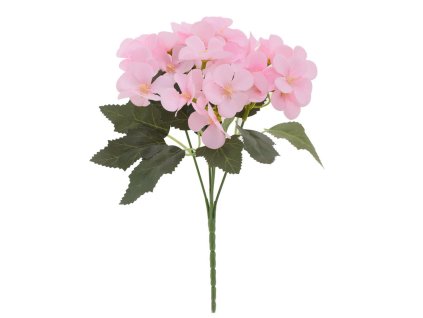 KYTICA FIALKA 25CM MIX 5FA 201708 1,30 ave