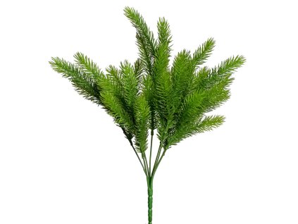 Zápich čečina, 35 cm