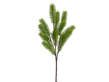 Konár čečina, 45 cm