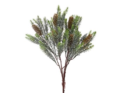 Zeleň čečina, šišky, 42 cm