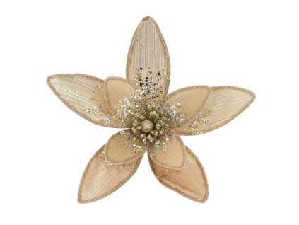 Vianočná ruža na štipci champagne, 22 cm