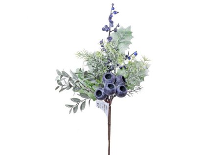 Konár čučoriedka 30 cm