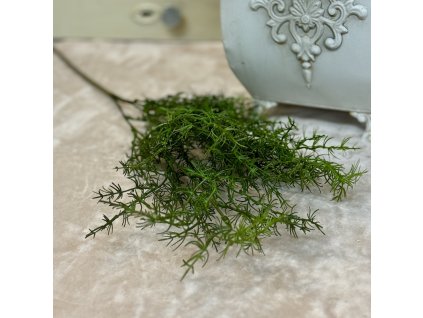 Umelá zeleň asparágus premium 70cm