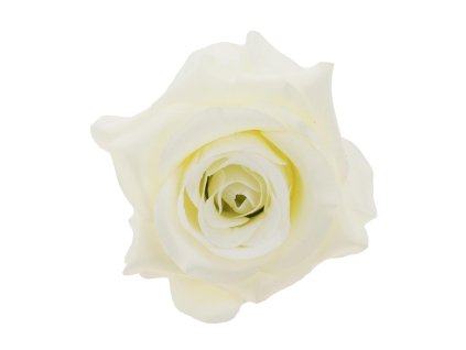 Hlava ruža krém 10 cm