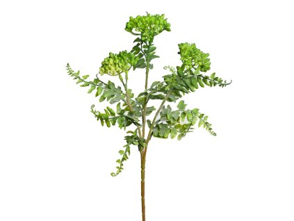 Sedum zelené 42 cm