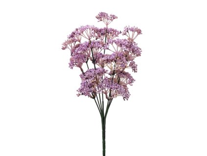 Zápich trachelium fialový 30 cm