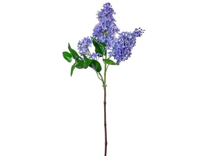 Orgován fialový 82 cm