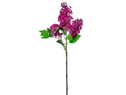 Orgován ciklámen 82 cm