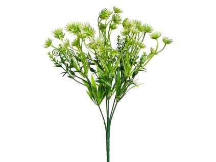 Zápich ammi sv.zelené 31 cm