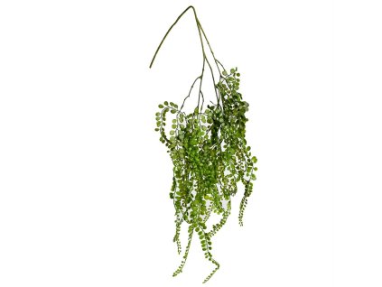 Ťahačka väčšie listy 116 cm