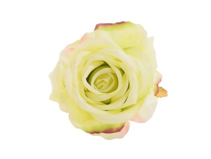 Hlava ruža zelená 10 cm