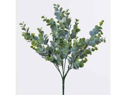 Zápich eucalyptus 35 cm