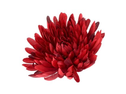 Hlava chryzantéma bordová 15 cm