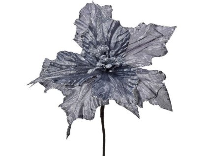 Poinsettia strieborná