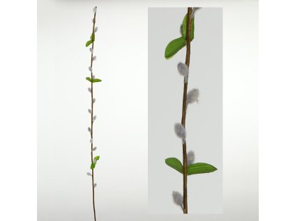 Bahniatka šedé 75 cm