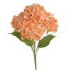 Hortenzia oranžová 48 cm