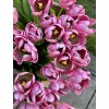 Kytica penový tulipán ružový Premium 56cm