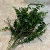 Umelá zeleň eucalyptus premium 55cm