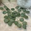 Umelá zeleň eucalyptus 60cm