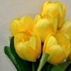 Jarná kytica žltý tulipán 40cm