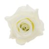 Hlava ruža krém 10 cm