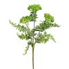 Sedum zelené 42 cm