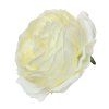 Hlava ruža biela 7 cm