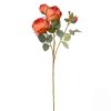 Oranžová ruža 4-puky, 62 cm
