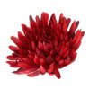 Hlava chryzantéma bordová 15 cm