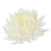 Hlava chryzantéma biela 15 cm