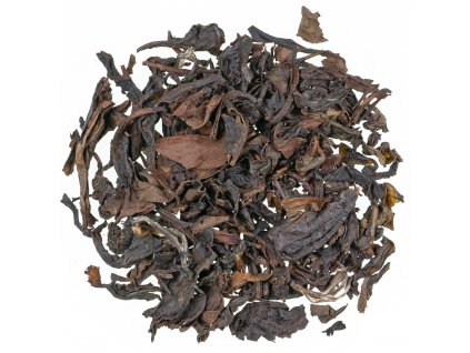 Oolong Fine Champagne Camellia