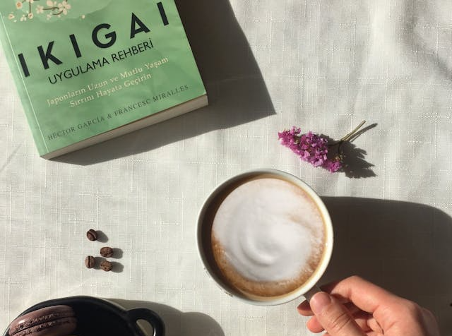 Metoda Ikigai: jak najít smysl života