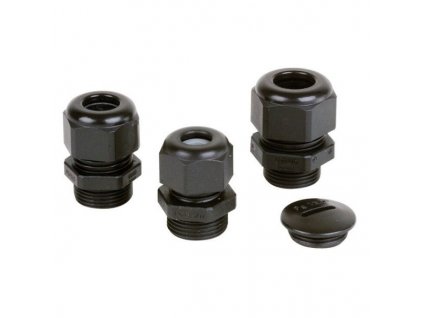 ca48902e8d6f542261d14b71b249833c95a1777b 322297 00 H 07 FAN thumbnail 2000px 72ppi