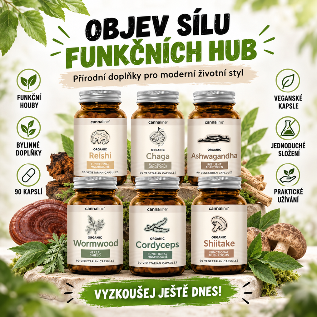 funkční houby - mobil