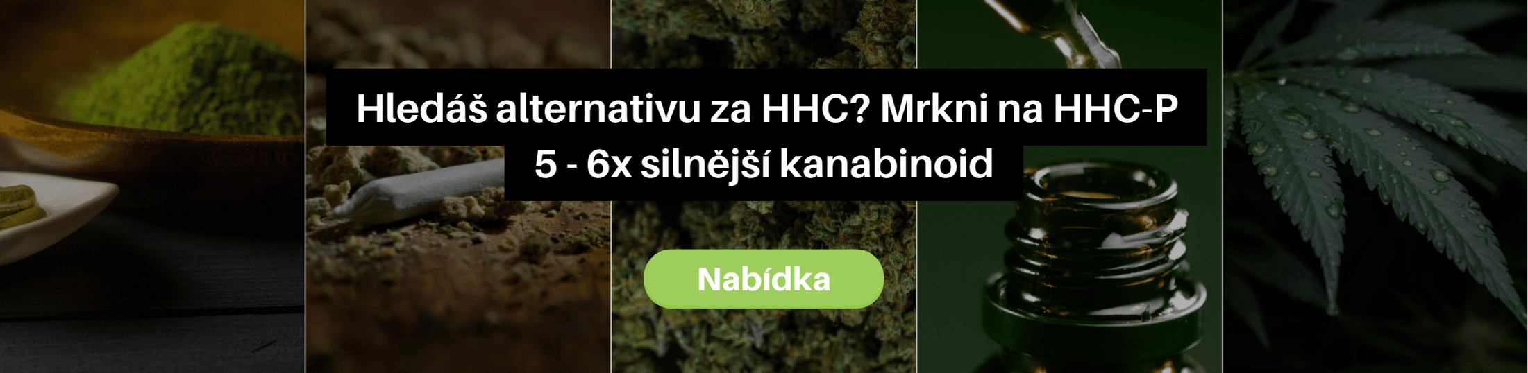 HHC-P Jihlava