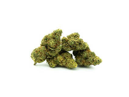 Plutonium 19% CBD 04 (1)