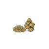 Zkittlez 04