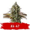 AK 47 Feminized semena marihuany