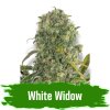 Semínka White Widow Autoflower
