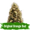 Semínka Original Orange Bud Autoflower