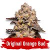 Semínka Original Orange Bud feminizovaná