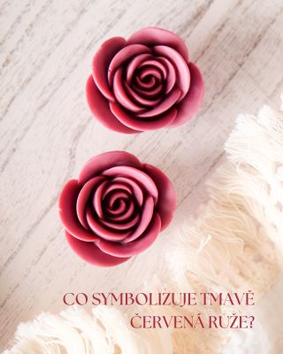 🌹 Hlubokou lásku, tajemství i eleganci. Červená růže je ikonou romantiky ❤️. Když ji někomu darujete říkáte mu, že nejde...